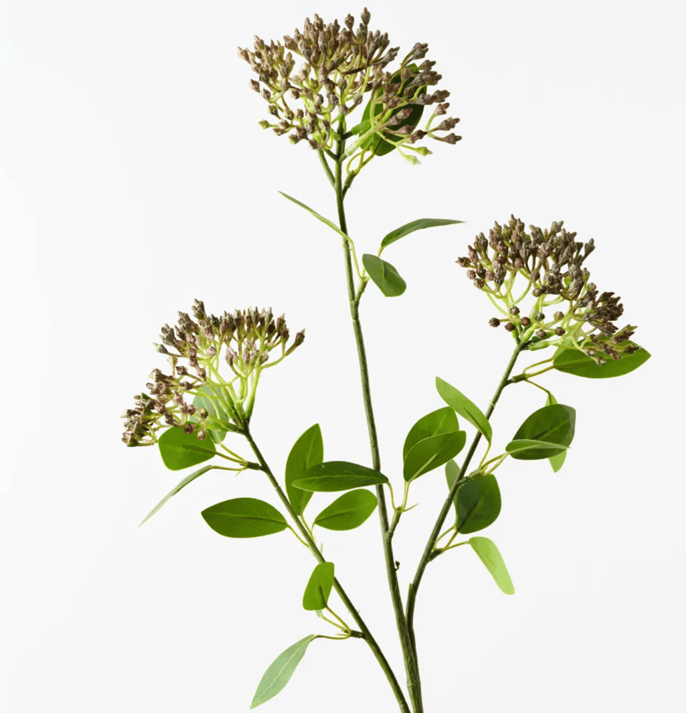 Haven & Space Berry ARTIFICAL FLOWERS 80CM Seed Cluster Spray