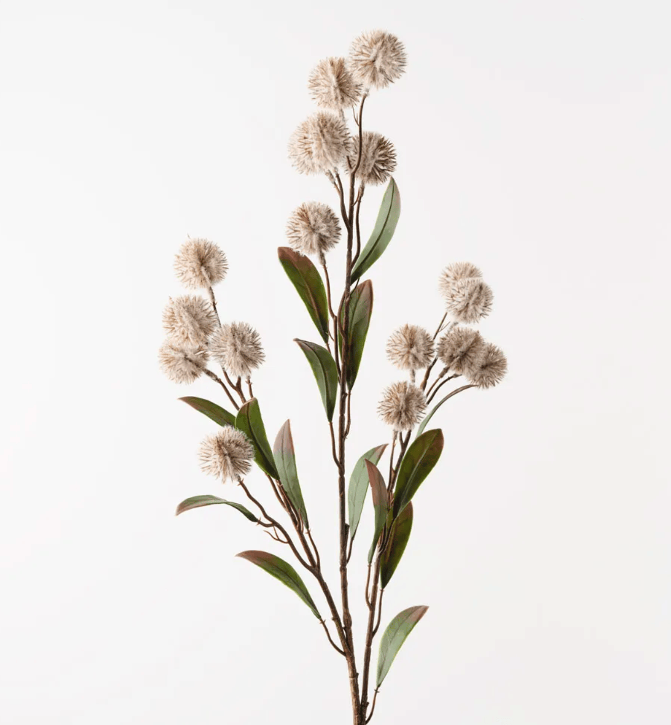 Haven & Space Berry ARTIFICAL FLOWERS 86cml / Sand Thistle Spray