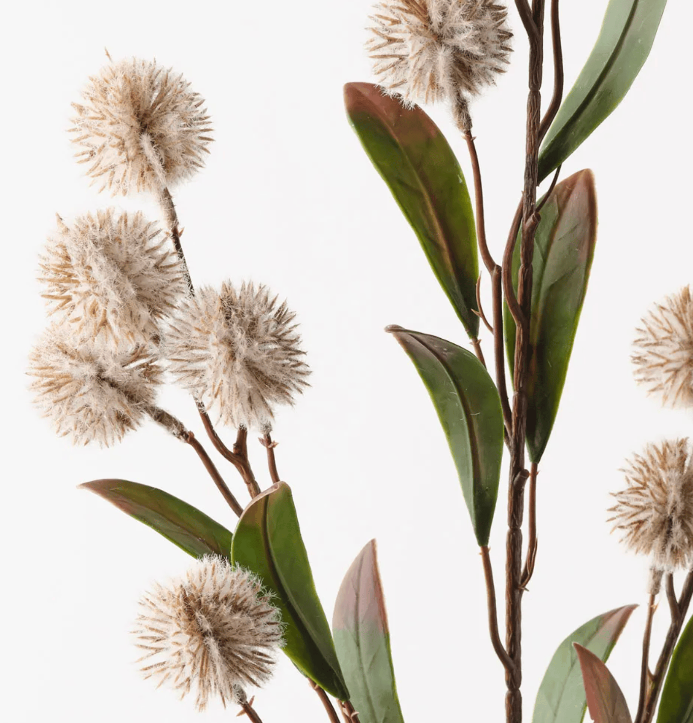 Haven & Space Berry ARTIFICAL FLOWERS 86cml / Sand Thistle Spray