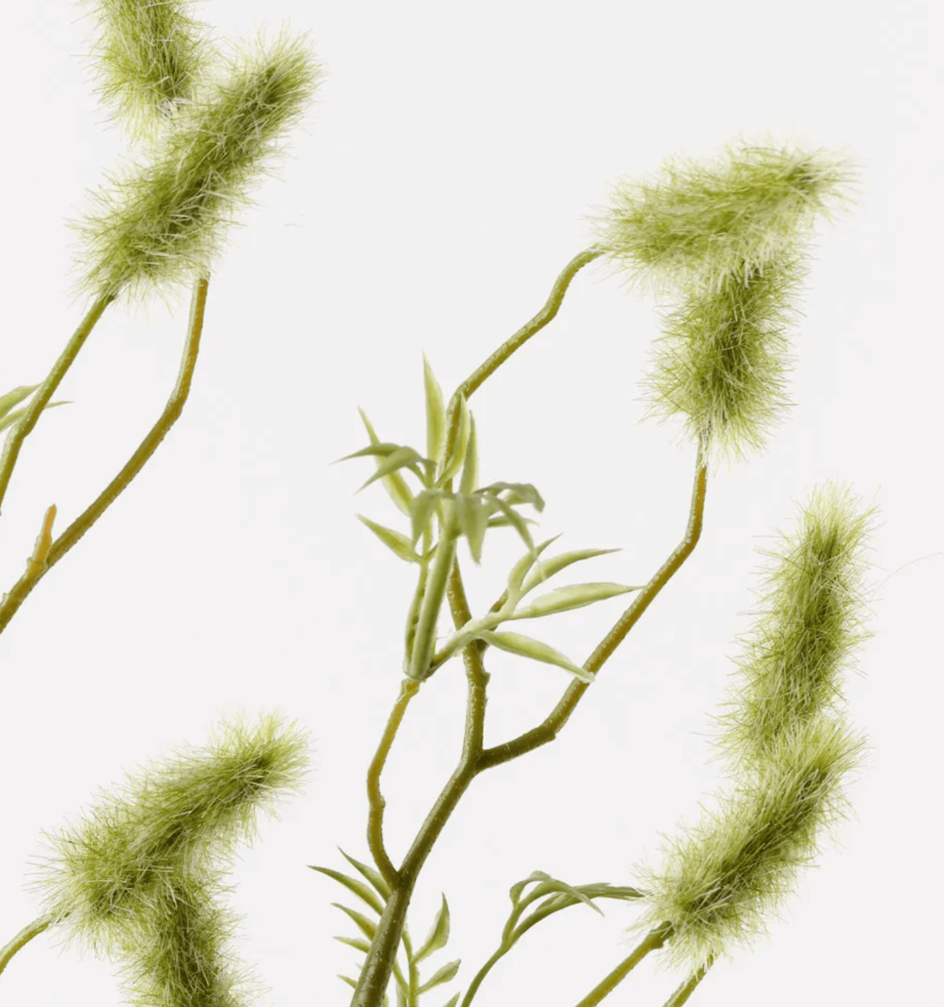 Haven & Space Berry ARTIFICAL FLOWERS 90CM Nigella Bud Spray