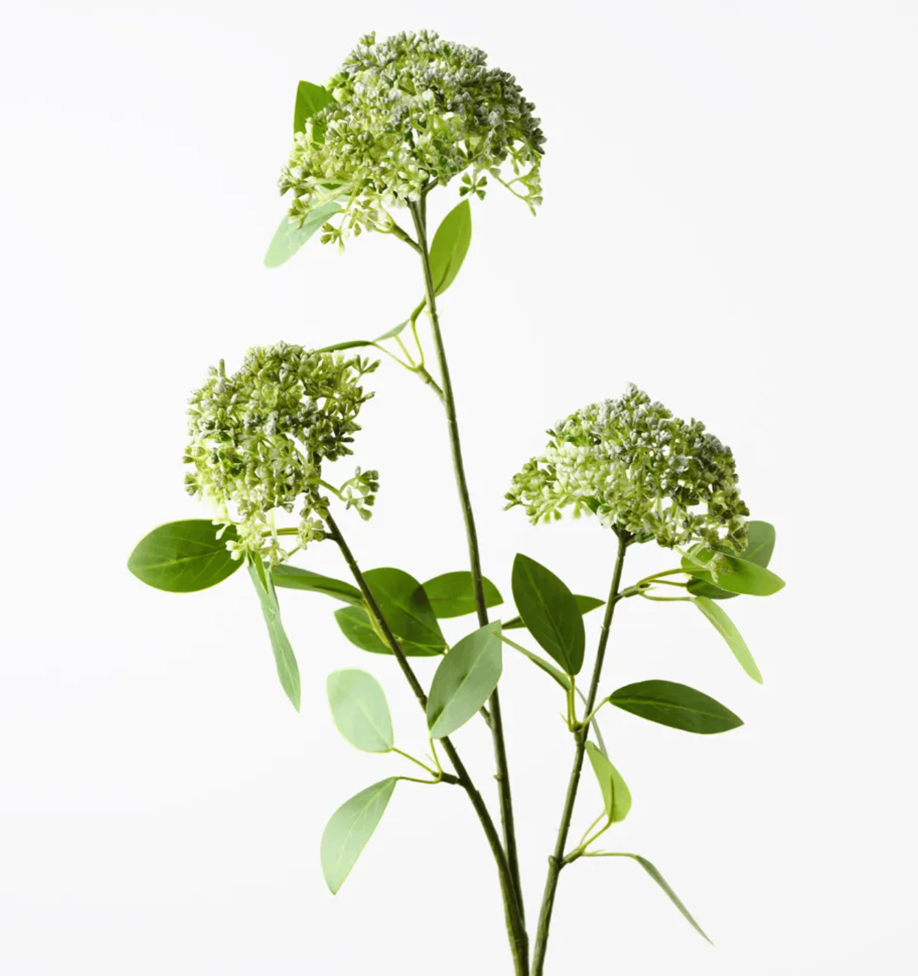 Haven & Space Berry ARTIFICAL FLOWERS Angelica Spray