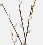 Haven & Space Berry ARTIFICAL FLOWERS Brown Pussy Willow Spray