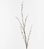Haven & Space Berry ARTIFICAL FLOWERS Brown Pussy Willow Spray