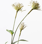 Haven & Space Berry ARTIFICAL FLOWERS Clematis Seed Pod Spray
