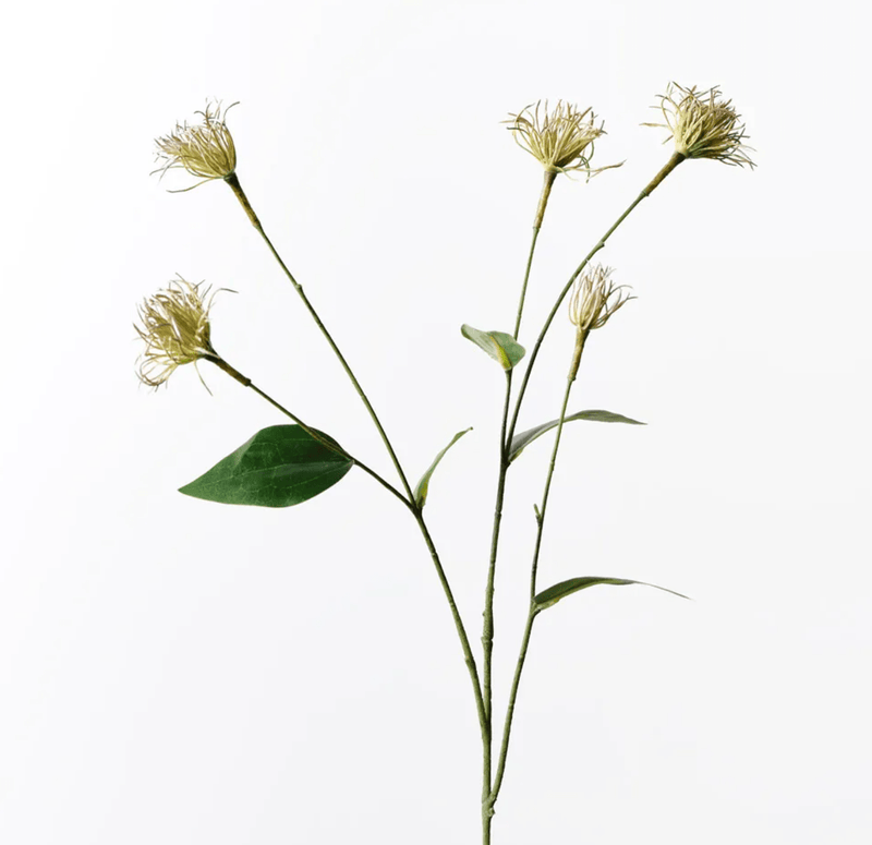 Haven & Space Berry ARTIFICAL FLOWERS Clematis Seed Pod Spray