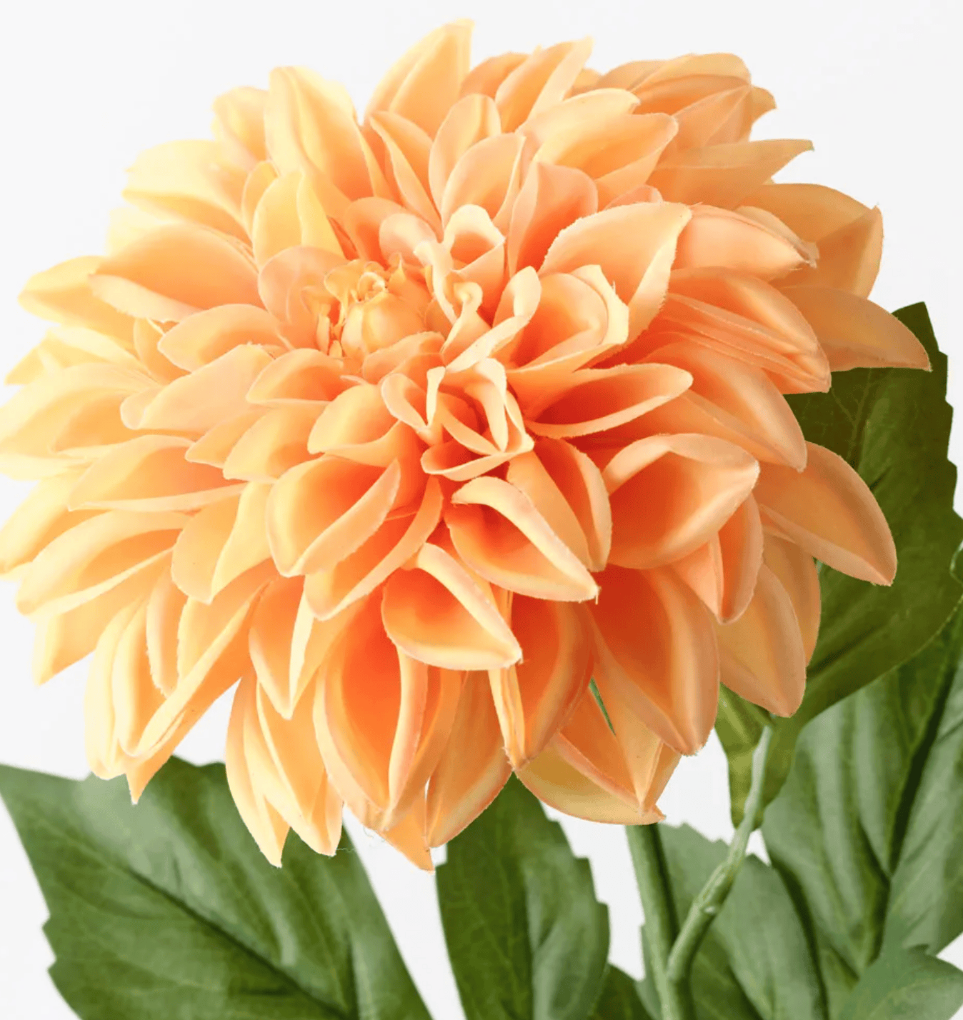 Haven & Space Berry ARTIFICAL FLOWERS Dahlia Pompn