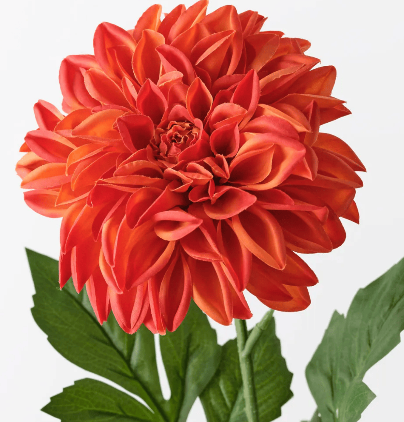 Haven & Space Berry ARTIFICAL FLOWERS Dahlia Pompon