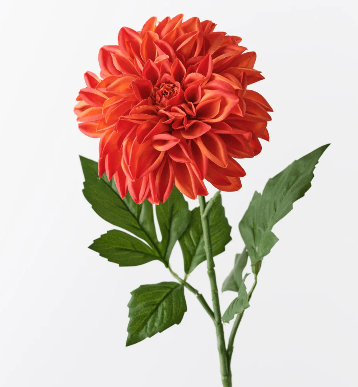 Haven & Space Berry ARTIFICAL FLOWERS Dahlia Pompon