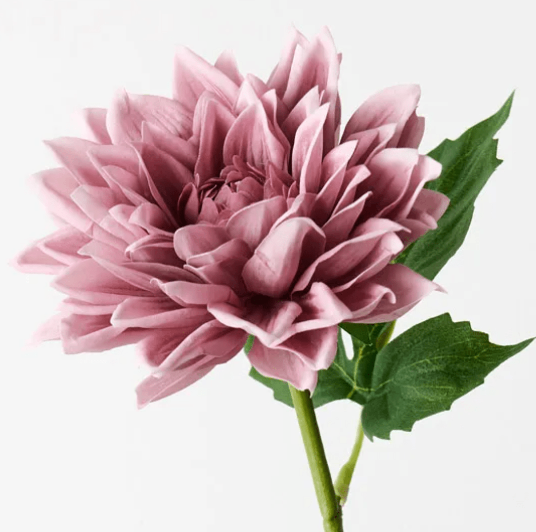 Haven & Space Berry ARTIFICAL FLOWERS Dusty Pink Dahlia