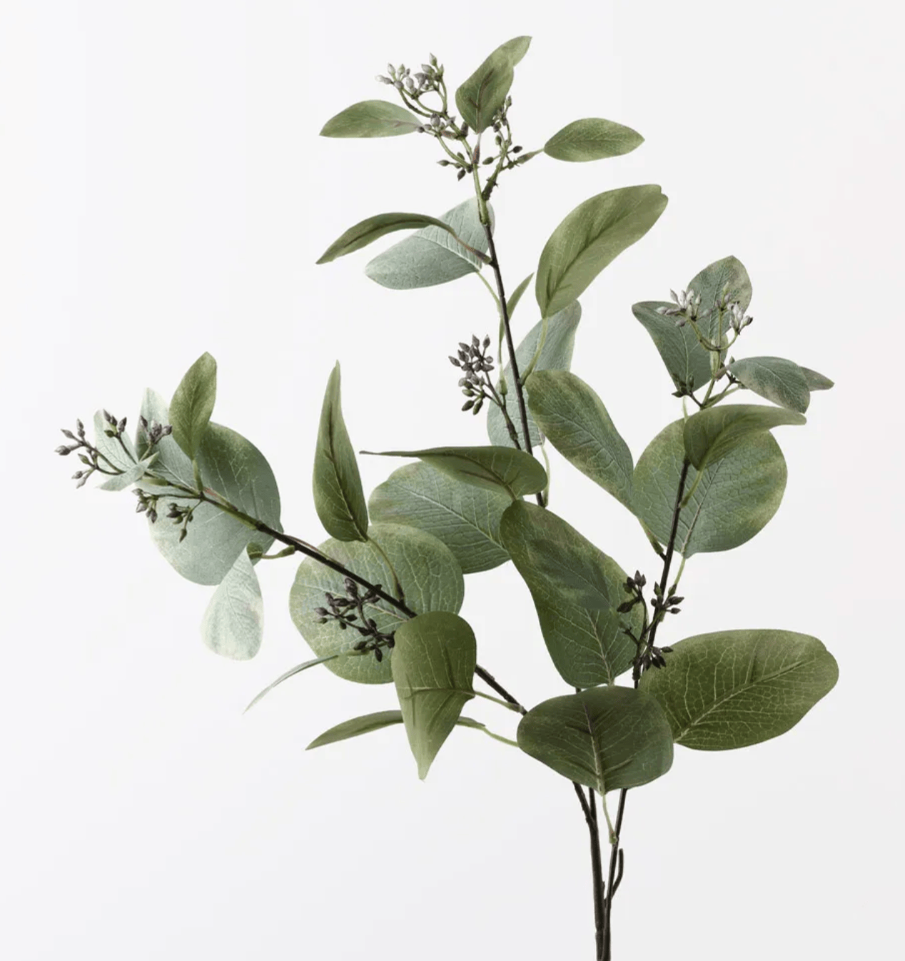 Haven & Space Berry ARTIFICAL FLOWERS Eucalyptus Seed Spray