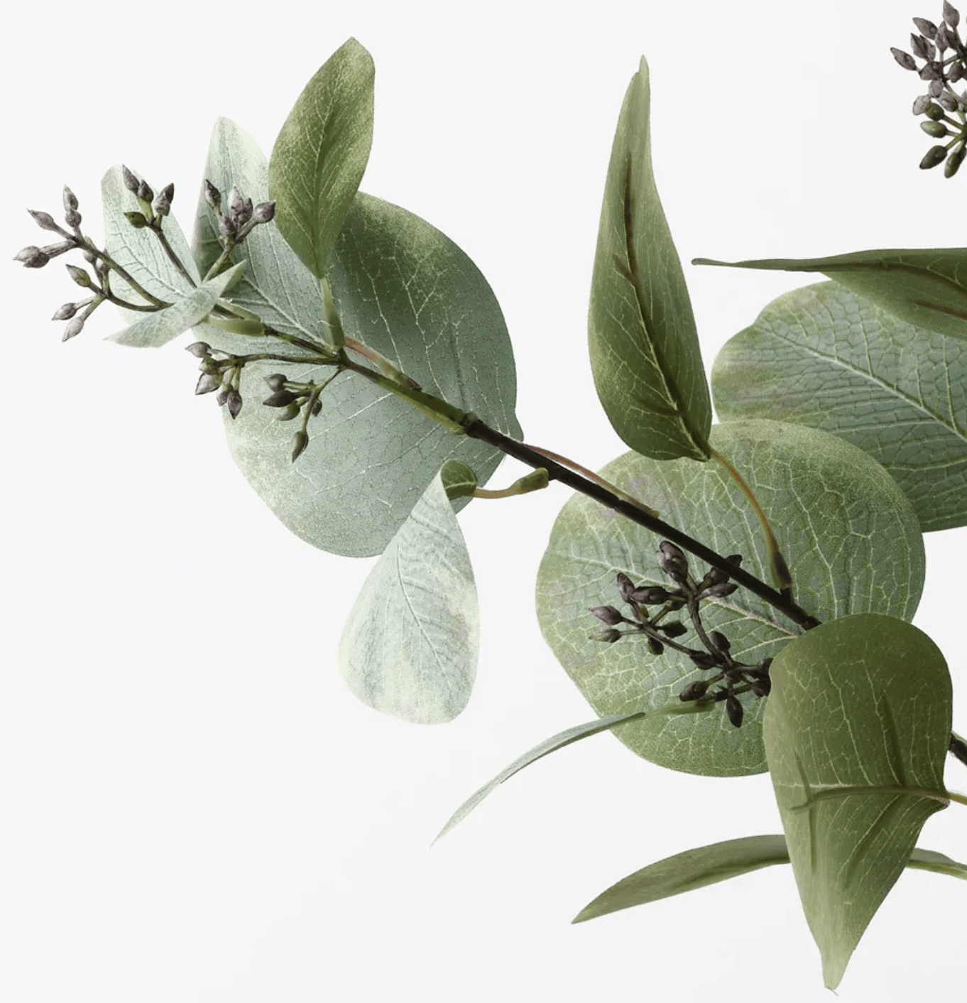 Haven & Space Berry ARTIFICAL FLOWERS Eucalyptus Seed Spray