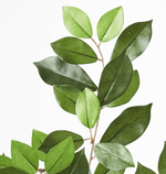 Haven & Space Berry ARTIFICAL FLOWERS Ficus Retusa Leaf Spray