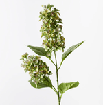 Haven & Space Berry ARTIFICAL FLOWERS Green/Purple Hydrangea Cone Spray