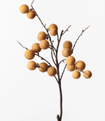 Haven & Space Berry ARTIFICAL FLOWERS Longan Spray