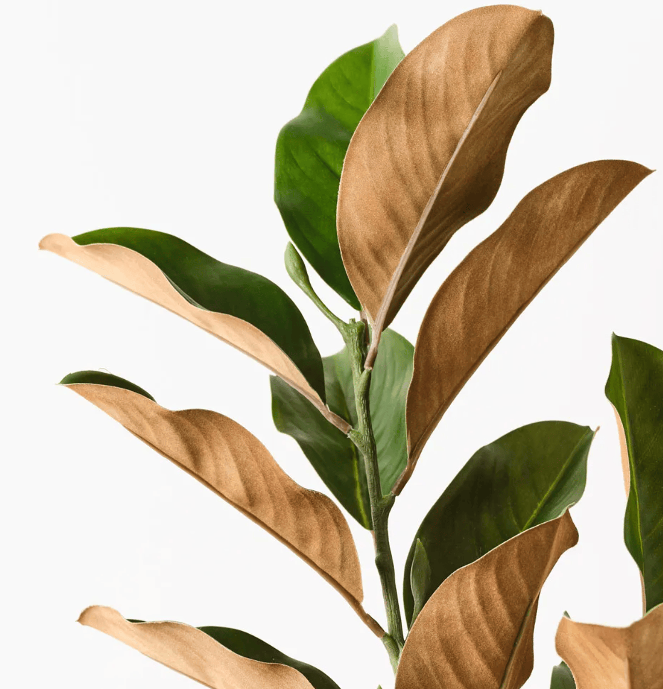 Haven & Space Berry ARTIFICAL FLOWERS Magnolia Leaf Spray