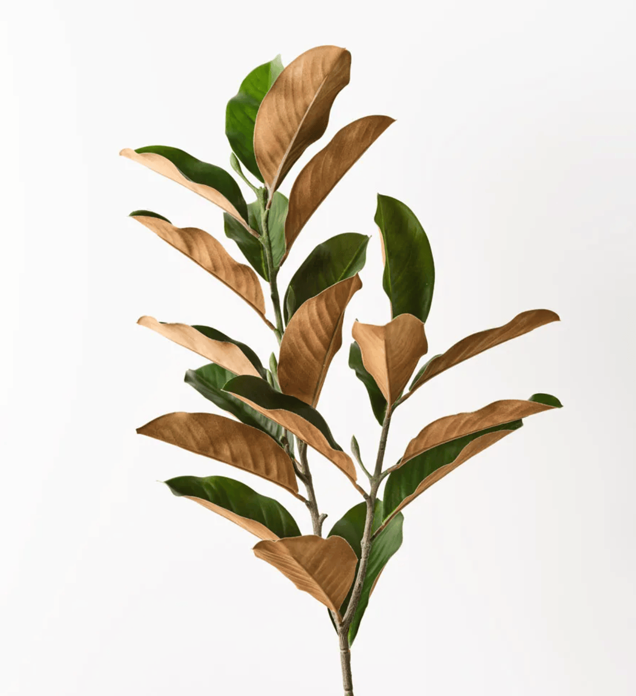 Haven & Space Berry ARTIFICAL FLOWERS Magnolia Leaf Spray