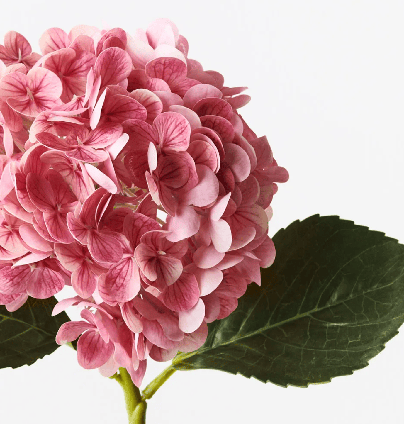 Haven & Space Berry ARTIFICAL FLOWERS Mauve Hydrangea