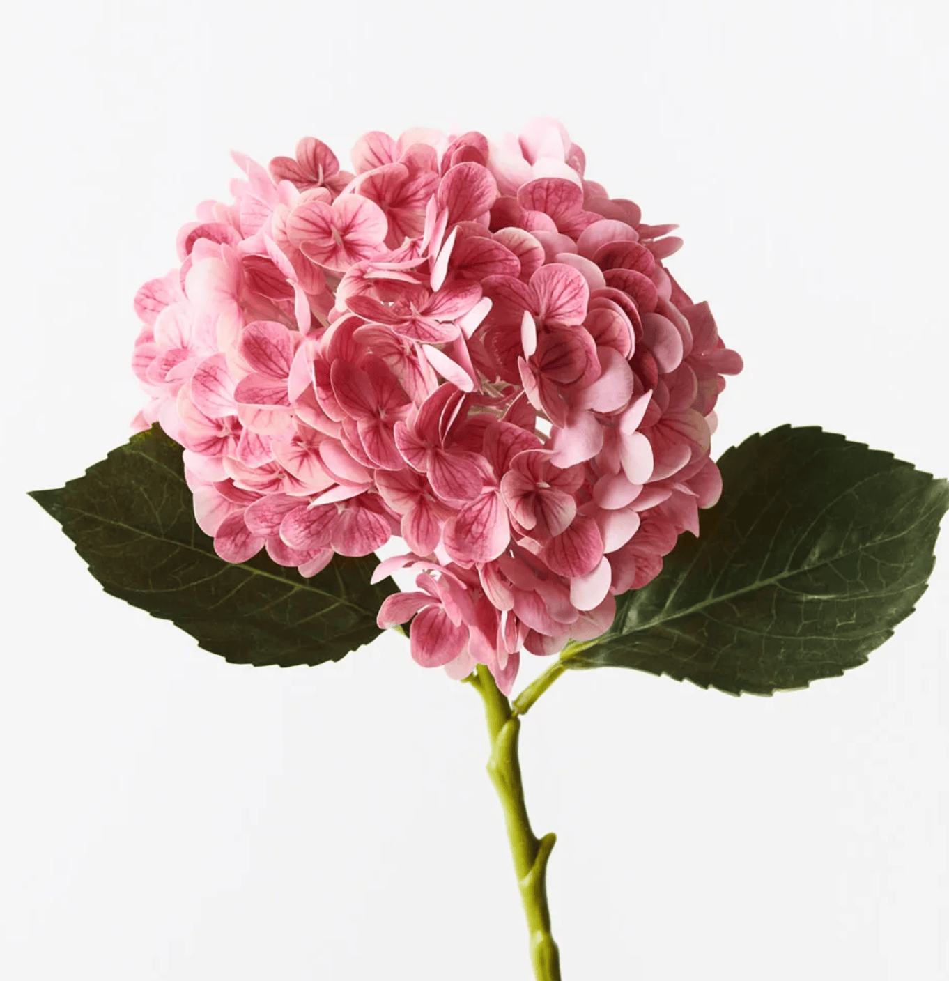 Haven & Space Berry ARTIFICAL FLOWERS Mauve Hydrangea