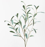 Haven & Space Berry ARTIFICAL FLOWERS Olive Leaf Spray