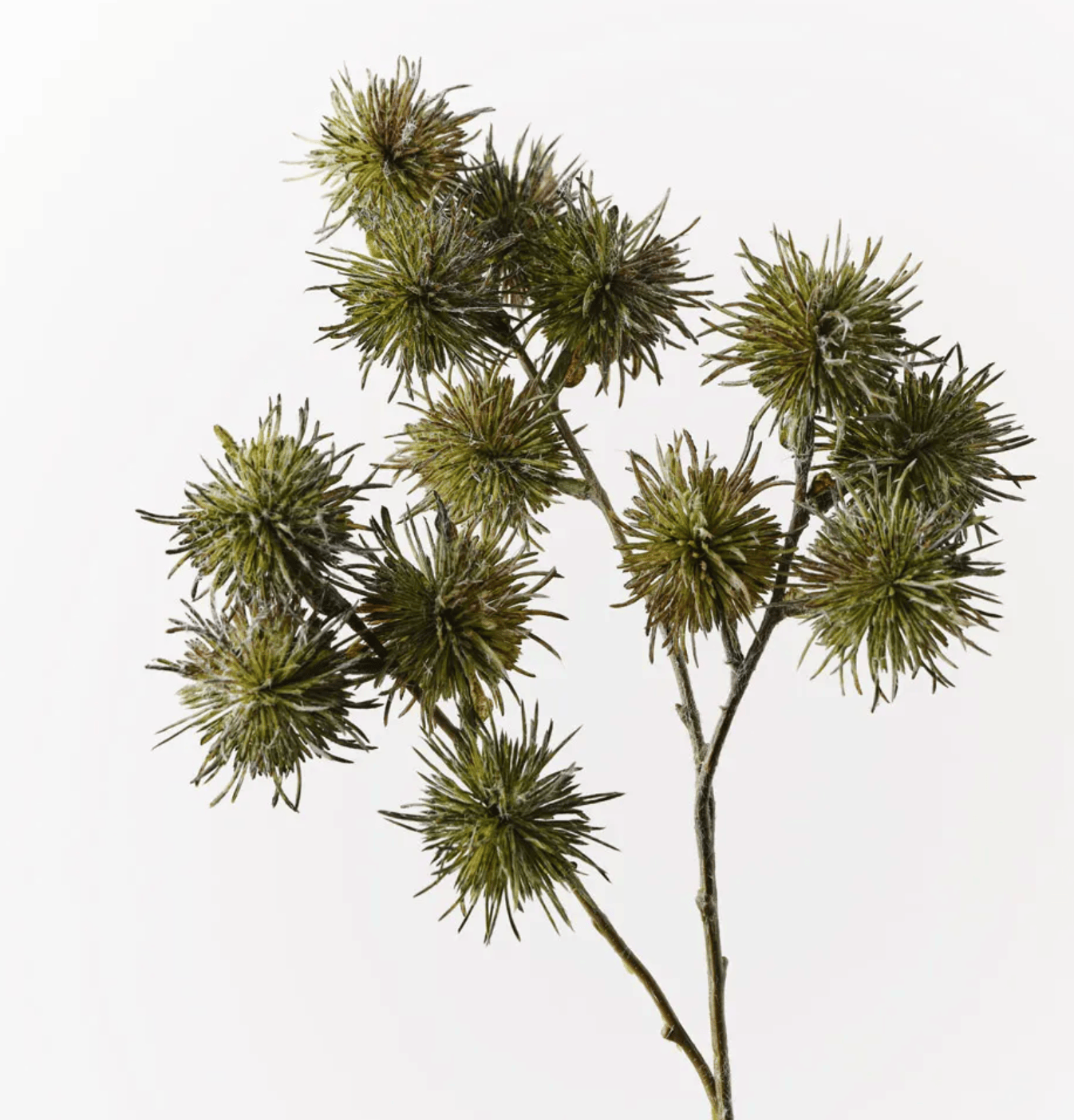 Haven & Space Berry ARTIFICAL FLOWERS Olive Thistle Globe Spray