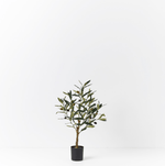 Haven & Space Berry ARTIFICAL FLOWERS Olive Tree