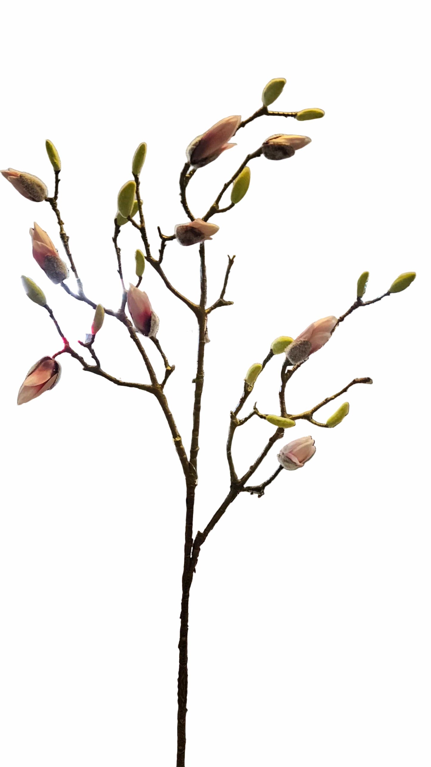 Haven & Space Berry ARTIFICAL FLOWERS Pink Magnolia Bud Spray
