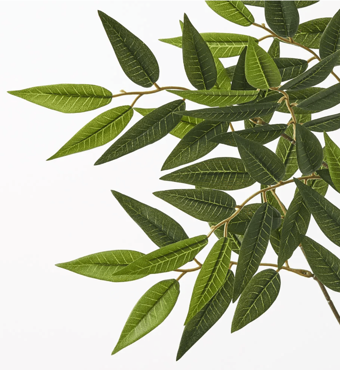 Haven & Space Berry ARTIFICAL FLOWERS Ruscus Leaf Spray