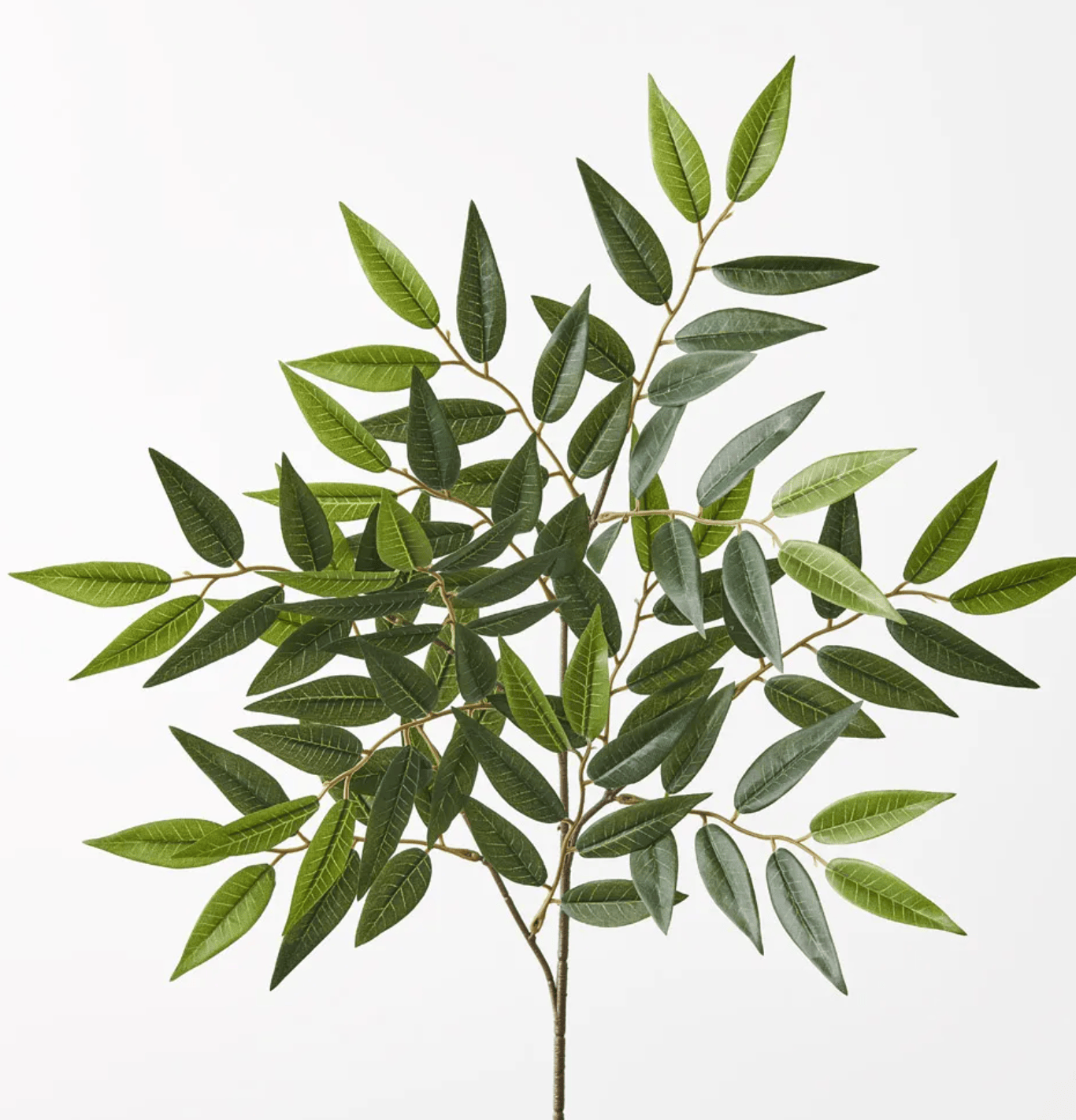 Haven & Space Berry ARTIFICAL FLOWERS Ruscus Leaf Spray