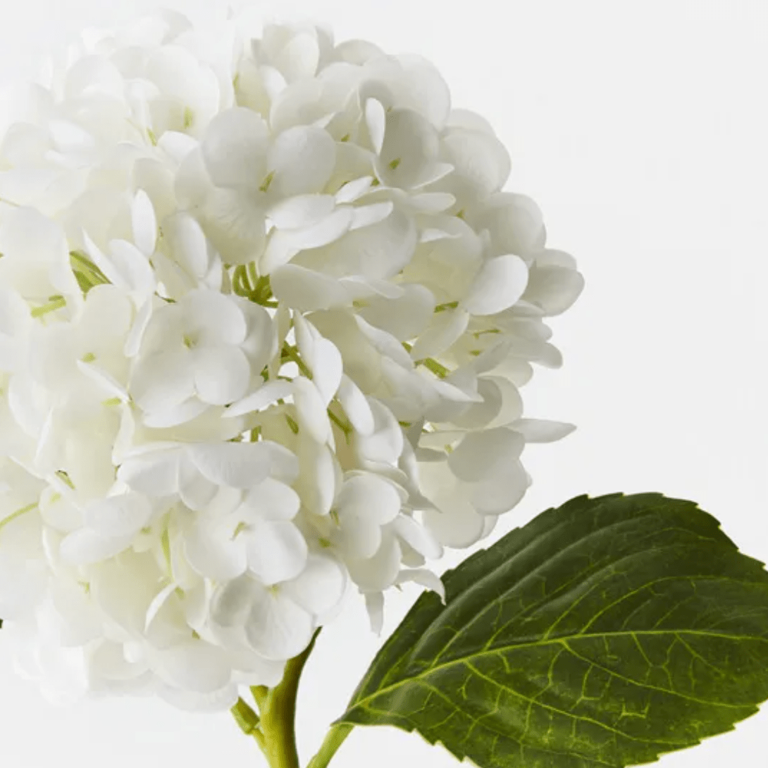 Haven & Space Berry ARTIFICAL FLOWERS Winter White Hydrangea