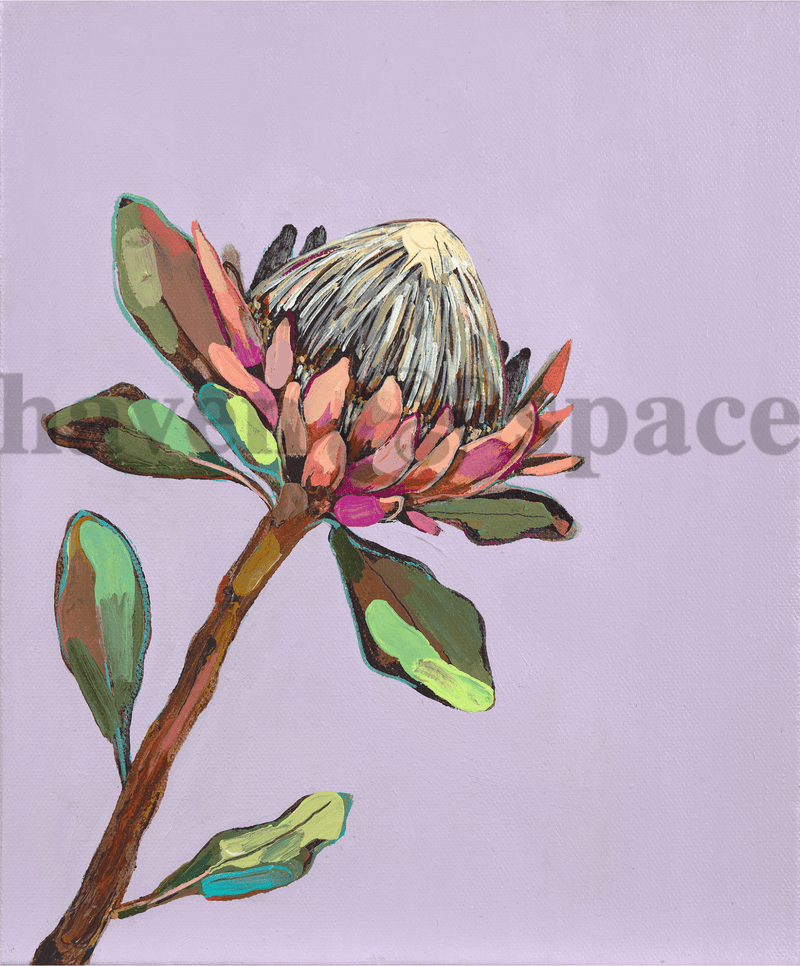 Haven & Space Berry CANVAS 11x14 inches Protea on Purple - Lauren Ward Artist