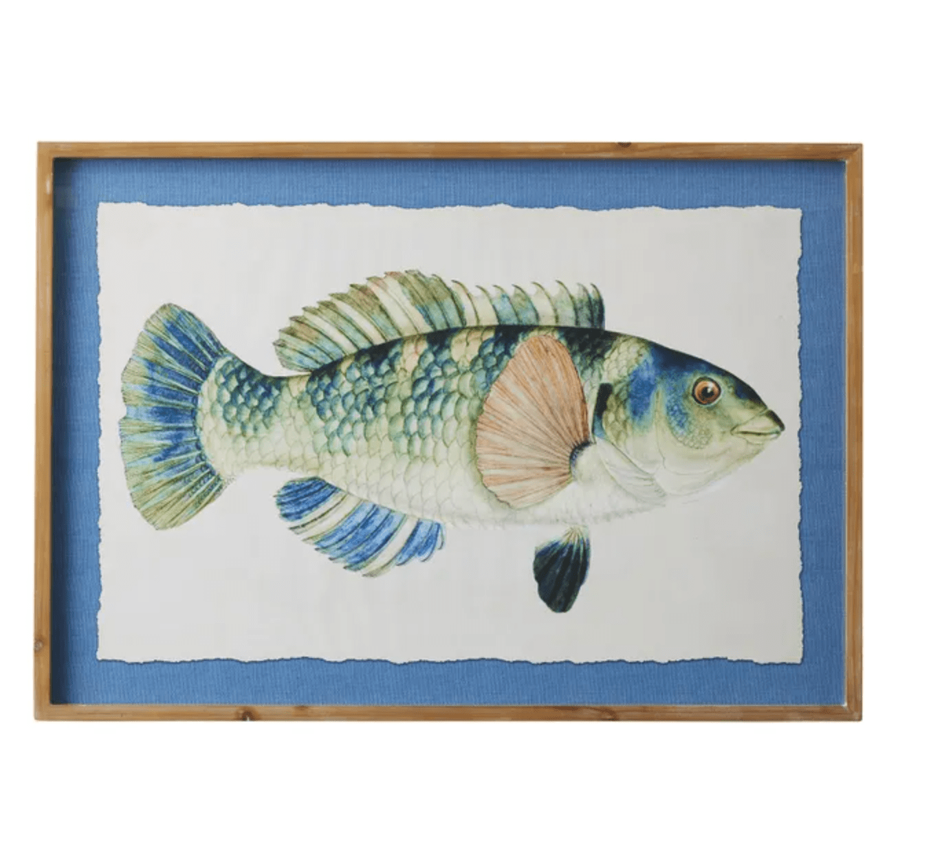 Haven & Space Berry CANVAS 70x100cm Poisson Glass Framed Print