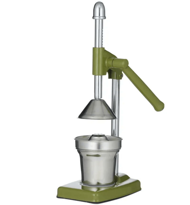 Haven & Space Berry KITCHEN Squisito Juicer