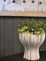 Haven & Space Berry VASES Lamah Vase