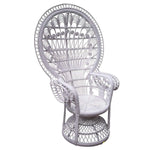 Haven and Space Furniture Chair White Peacock Chair