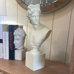 Haven & Space Berry Roman Bust